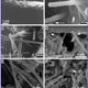 Illustration for article titled "Hairy Blobs" Discovered in Acidic Lake Could Have Evolved on Mars